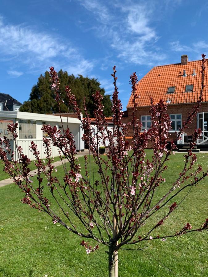 H. C. Lumbyes Vej - Kaelderlejlighed Odense Dış mekan fotoğraf